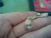 2014-03-06 14.23.46.webp 2014-03-06 14.23.46.webp