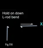 Figure _D2neg.webp