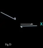 Figure _Dneg.webp