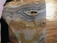 DSCF6730.webp