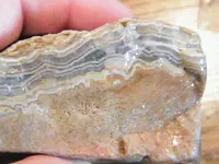 DSCF6731.webp