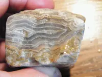 DSCF6732.webp