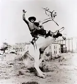 Lone ranger.webp