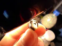 SAM_0664.webp