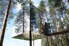 mirrorcube treehouse.webp