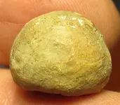 TW 032314 Ld Ball 1.webp