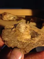 image-446362980.webp