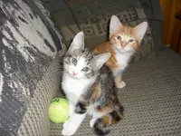 photo.webp