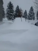 snow.webp