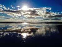 image-364547922.webp