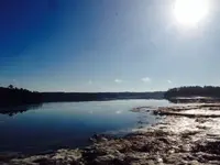 image-4048853195.webp