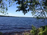 image-3818386753.webp