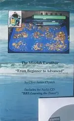 EXCALBEGINNERFront.webp