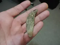DSCN0166.webp