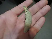 DSCN0167.webp