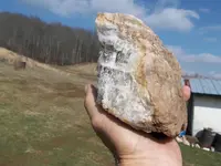 sunshine and orange rock 003.webp