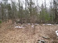 sunday hunt 003.webp