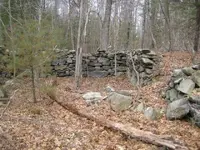 sunday hunt 007.webp