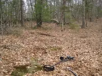 sunday hunt 012.webp