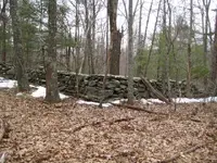 sunday hunt 016.webp