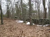 sunday hunt 017.webp