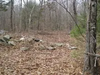 sunday hunt 018.webp