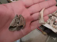 DSCN0175.webp