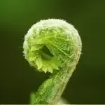 JDDDL8-221009-143435.webp