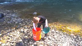IMAG0767.webp