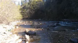 IMAG0768.webp