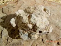 DSCN4748.webp