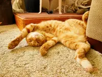DSCN5542.webp