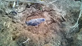 ForumRunner_20140323_221743.webp