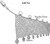 images.webp