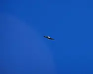 eagle 4.webp