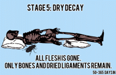 STAGE5.gif