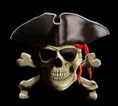 Pirate Hat N Skull.jpg