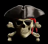 Pirate Hat N Skull.webp