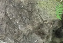 Stone Engraved.webp