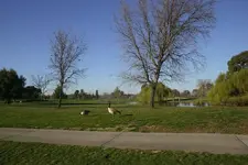 golf1.webp
