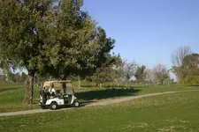 golf3.webp