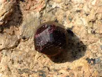 DSCF6190.webp