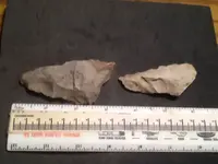 image-173516600.webp