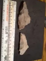 image-1079296054.webp