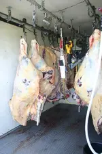 beef2.webp
