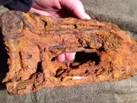 image-2842714482.webp