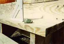 Banner_Stone(1).webp