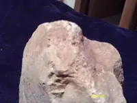 IMAG0130.webp