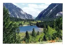 tin cup pass.webp