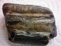 Horse Teeth found 27feb14.webp